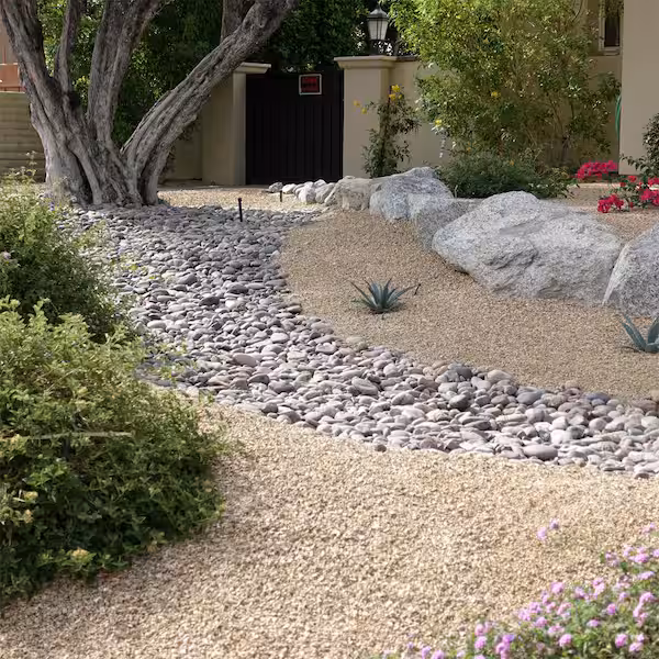 Gravel ground cover in a Desert Southwest xeriscape.